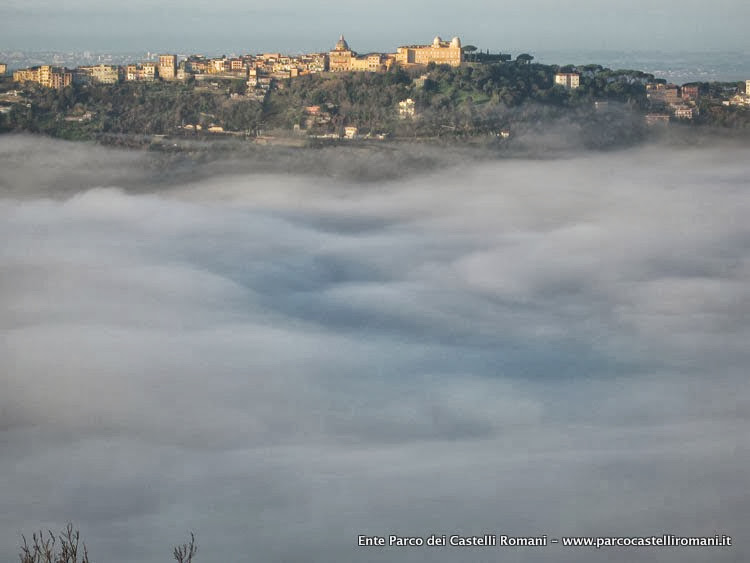 La nebbia e il suo effetto sul paesaggio