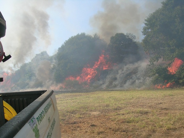 Gli incendi boschivi