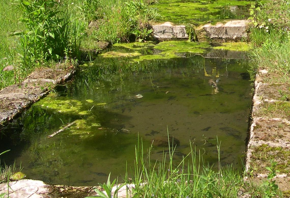 Il Parco con i Comuni in difesa della biodiversità