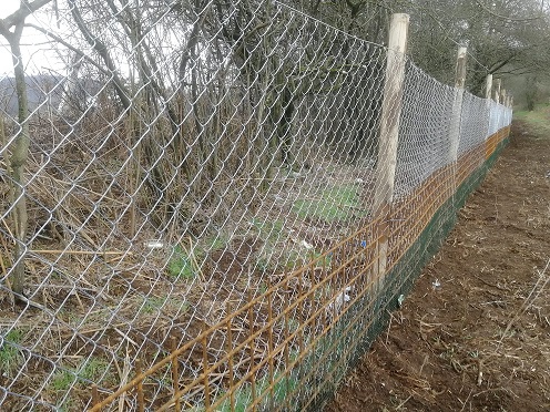 Installazione di reti protettive per gli anfibi