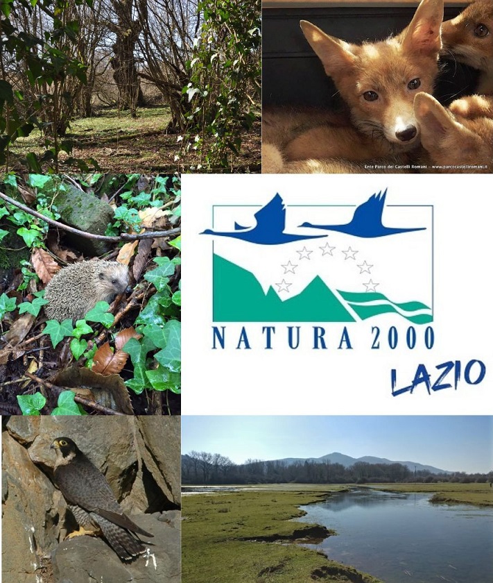 Natura 2000, la più grande rete ecologica del mondo