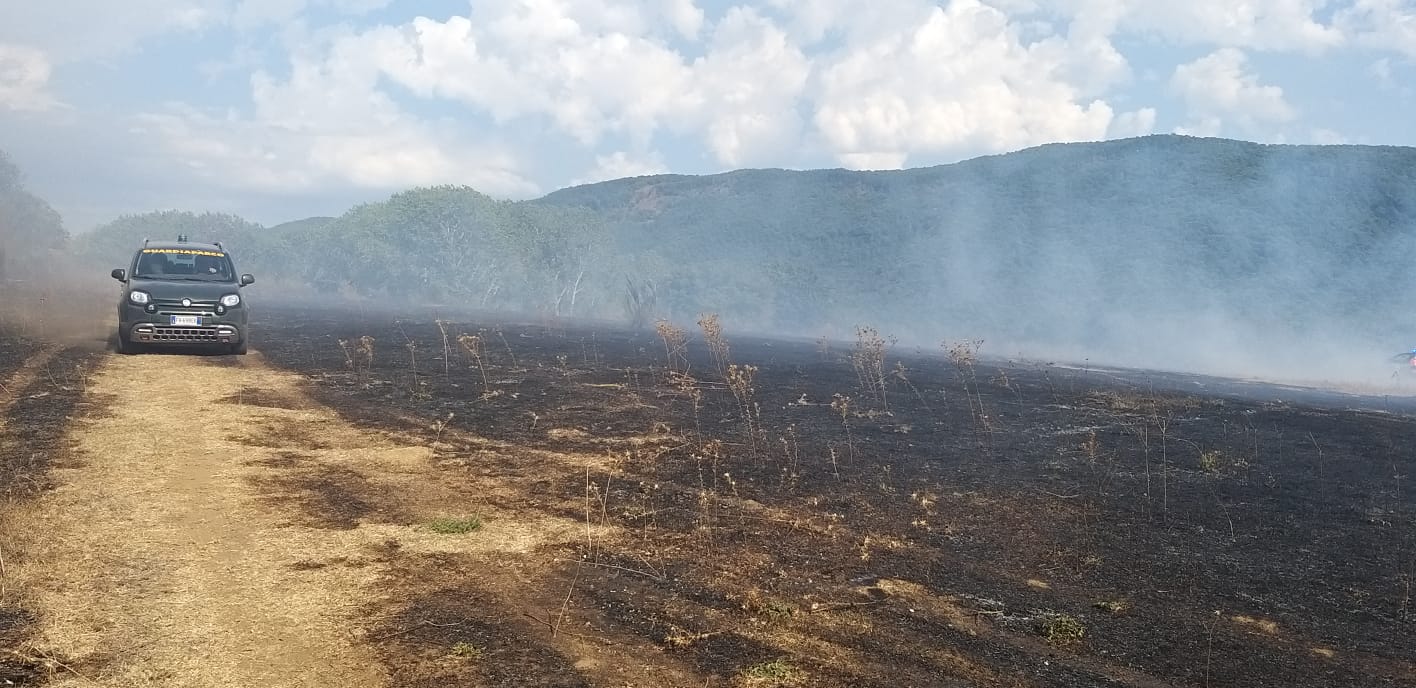 Incendi boschivi: scatta il periodo di massima allerta